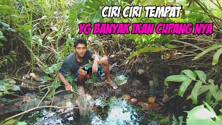 Download lagu Ciri ciri tempat yg ada ikan cupang nya mp3