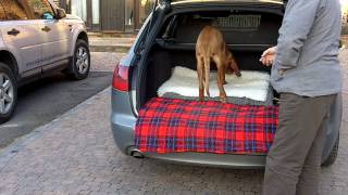 preview picture of video 'How to introduce a dog to car travel'