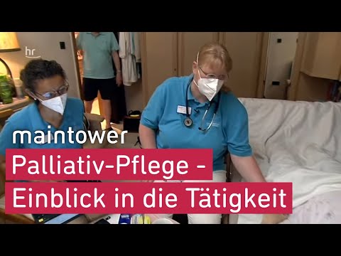 Euthanasia Team | maintower