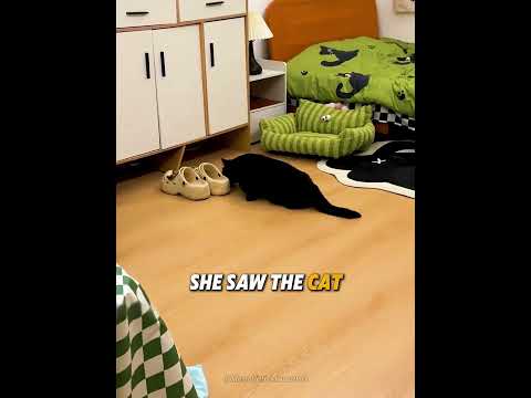 This Cat KNEW Something Was Wrong 🐈‍⬛👀