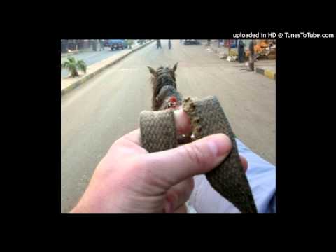 Today's Tango Is... El Pescante - Lucio Demare 11-02-1943