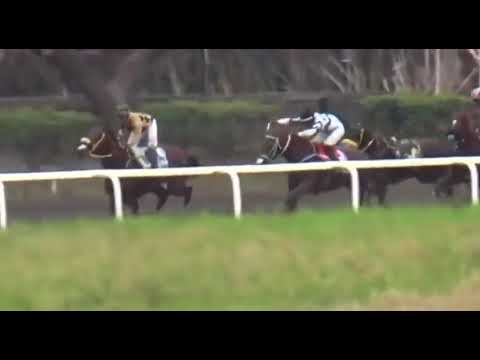 Yarışta Rakibini İterek Düşüren Jokey Ömür Boyu Men Edildi!