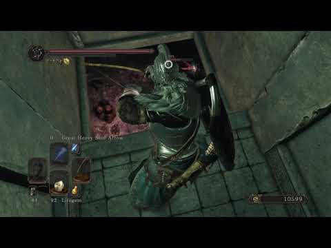 DARK SOULS™ II - Walkthrough (No Commentary) - Part 77 - Dragon's Sanctum