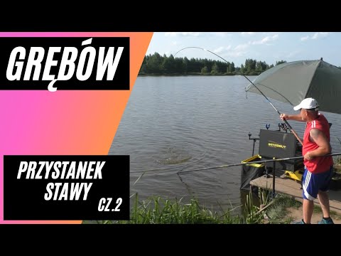 Małża zamiast ryby czyli okonie  jak karpie z Grębowa !