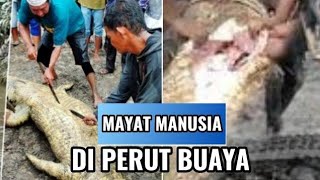 Download lagu MANUSIA DI TELAN BUAYA MUARA mp3