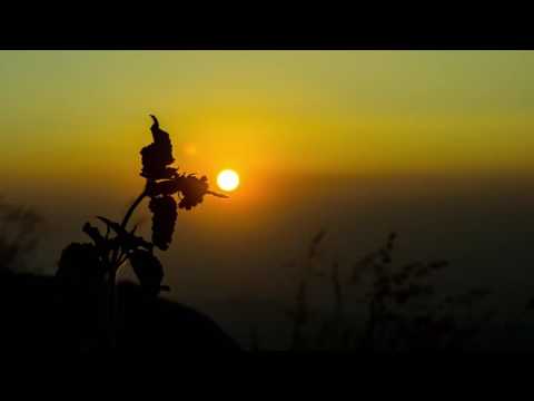 Download Lagu Musik Relaksasi Untuk Ibu Hamil Mp3 Gratis