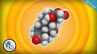 Why Too Much Stress Is Bad For You