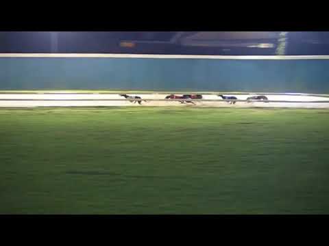 2017 RPGTV HENLOW DERBY - HEAT 2 - T2 CAPPOQUIN JACK