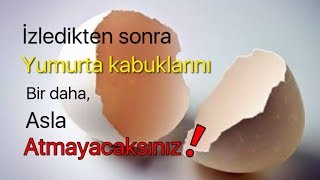 EKLEM AĞRILARI VE KEMİK ERİMESİ İÇİN YUMURTA KABUĞU İLE KESİN ÇÖZÜM!!!