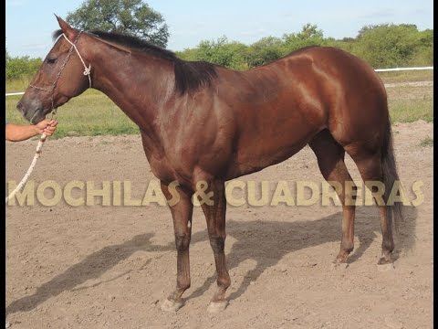 NOELIA - HIP. LA ILUSION - VERA - 15-02-15 - M&C