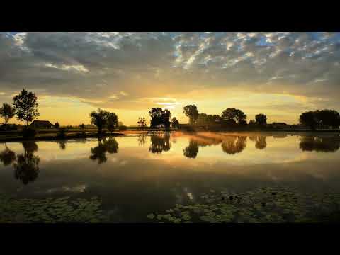 🍀🌞🌻 Predivno jutro v Gorčenu #timelapse #nature #naturelover #međimurje #djiosmopocket3 #osmopocket3