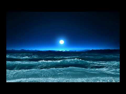 History of Prophet Muhammad (SAW) - Part 58 | முஹம்மது நபி வரலாறு - பாகம் 58