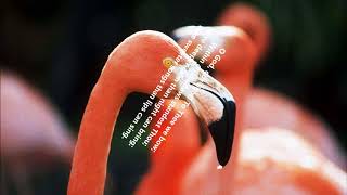 Again As Evening&#39;s Shadow Falls