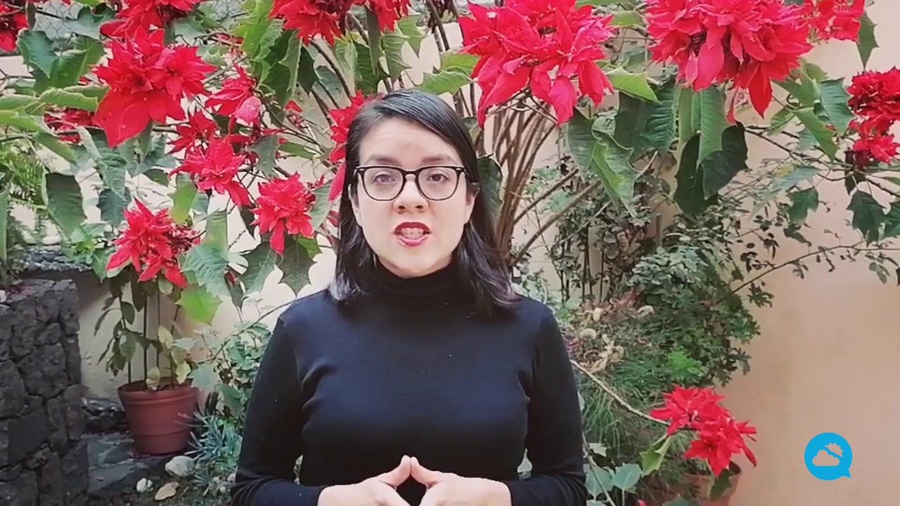 youtube video id=fPqQcmQJfUE