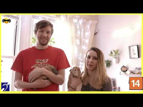 Tv Educativa Explicando a Inteligencia Animal  Netflix Dblado e com Legendas Corte 02