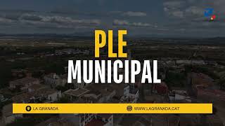Ple Extraordinari 28 juliol de 2026