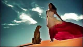 Sully Erna - Until Then