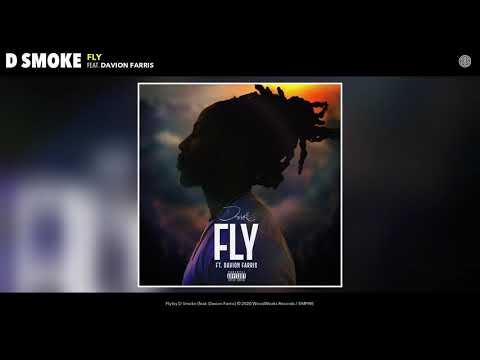 Video thumbnail for Fly