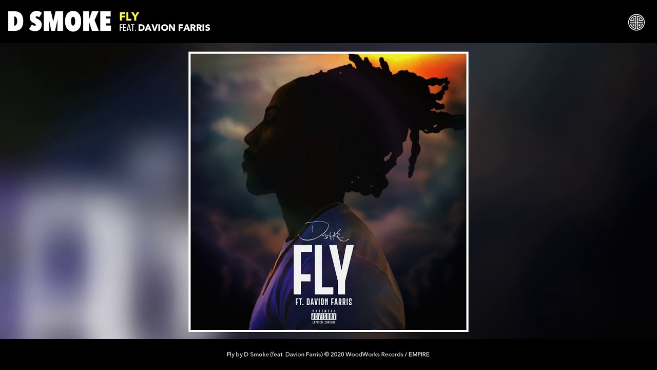 D Smoke - Fly