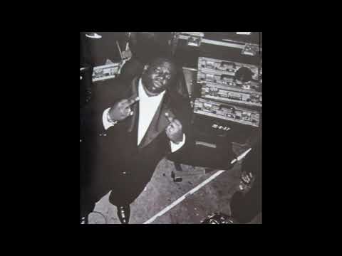 THE NOTORIOUS BIG WARNING SAMPLE TYPE BEAT