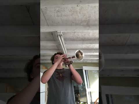 Excerpt from Trumpet Concerto in Eb Major by Franz Joseph Haydn