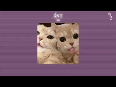 Ẩn Ý (Speed Up) | @1nGOfficial x Rion