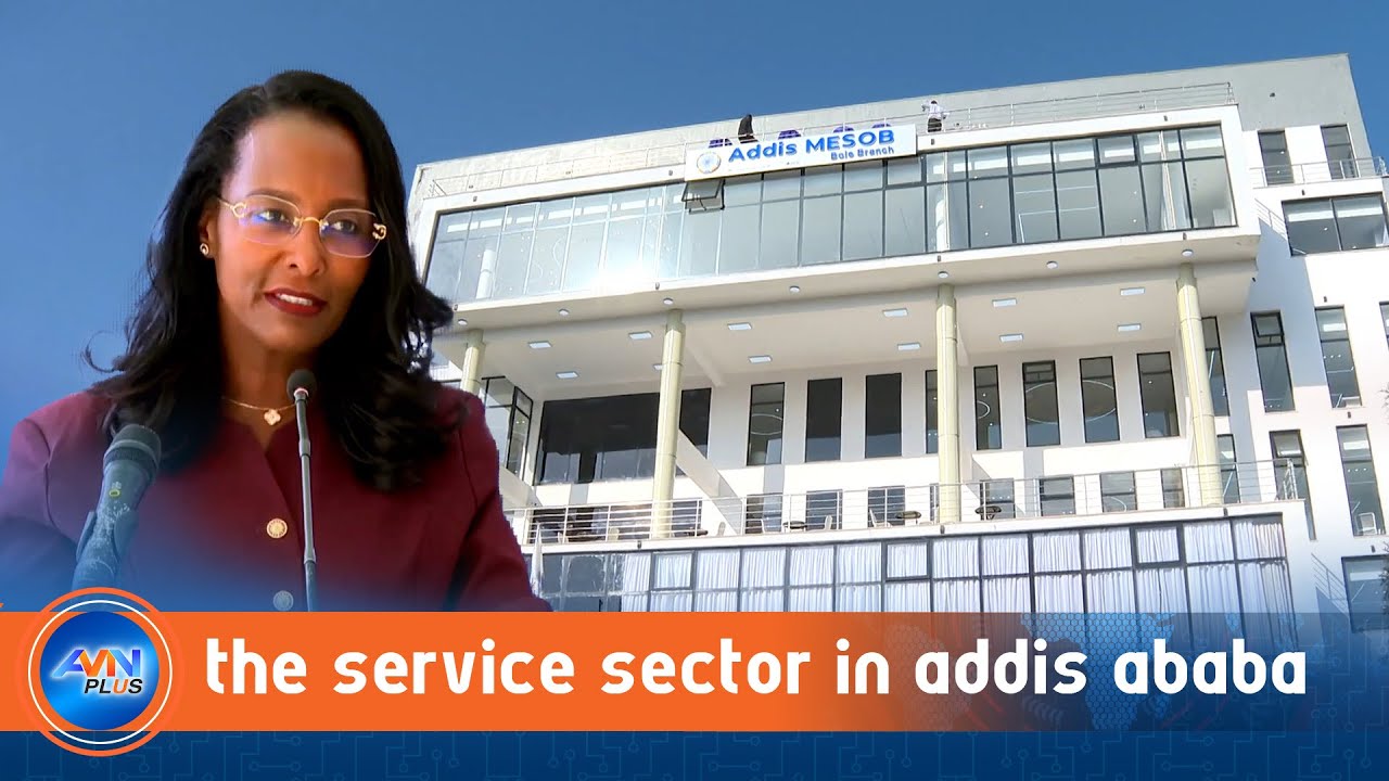 MESOB Center Services – Organizations, Services, Requirements, Fees ...