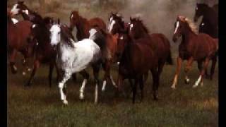 Chantal Kreviazuk - Wild Horses (Piano Acoustic Rolling Stones Cover)