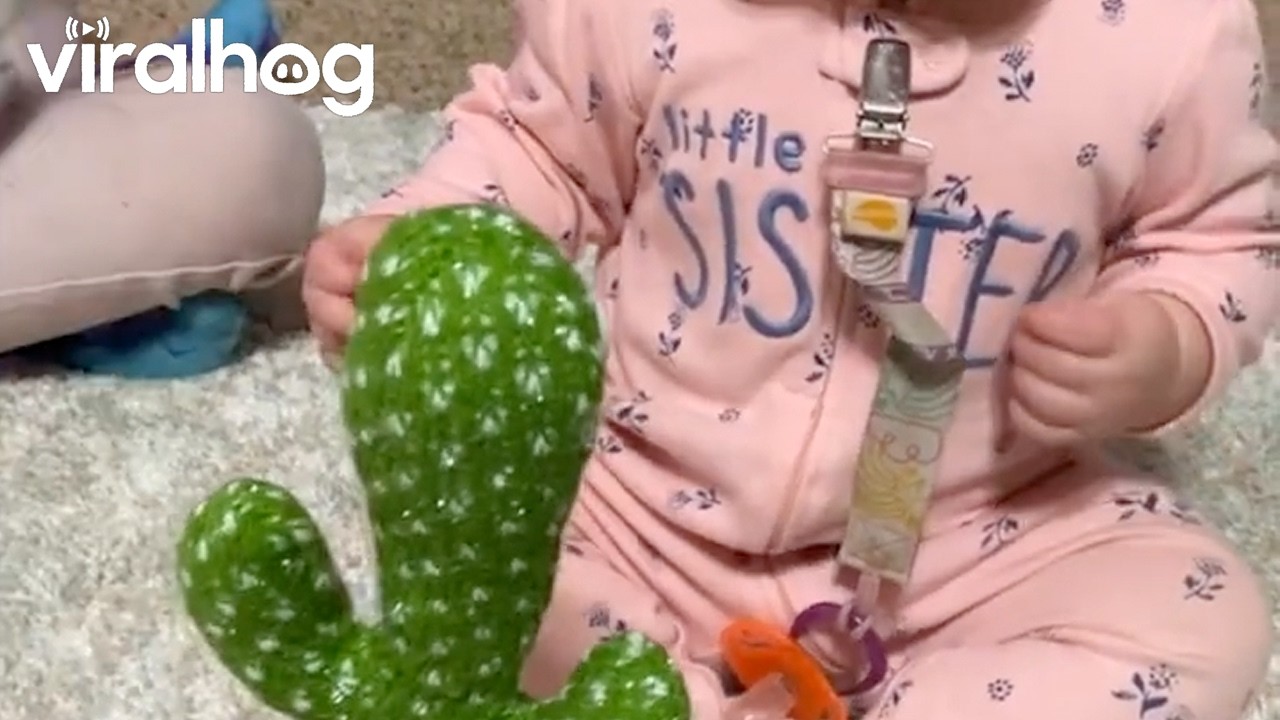 Baby Has in Depth Conversation With Talking Cactus Toy || ViralHog