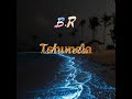 B R Tshunela Official Audio