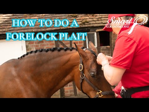 HOW TO PLAIT A FORELOCK