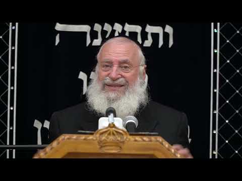 בדיני עבירות שבין אדם לחבירו | שיעור שבועי מאת מרן הרב אשר וייס שליט"א (תשפ"ה)