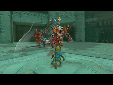 Lore Accurate Link vs 3 Lynels (Damageless, Master Sword only) - Zelda Tears of the Kingdom