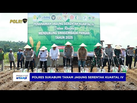 POLRES SUKABUMI TANAM JAGUNG SERENTAK KUARTAL IV DI LAHAN SELUAS 4 HEKTARE