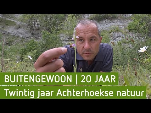 Twintig jaar Achterhoekse natuur | BuitenGewoon 20 Jaar