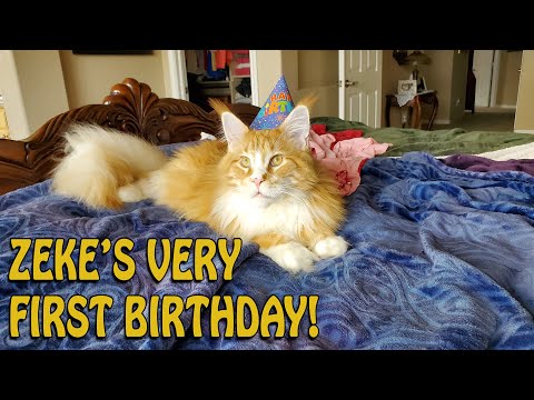 Zeke's Very First Birthday - Happy Birthday Zeke!