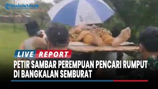 Download lagu Perempuan Pencari Rumput Tersambar Petir, Bikin Rapat Musrembang Desa Bubar di Bangkalan Semburat mp3 Download lagu Perempuan Pencari Rumput Tersambar Petir, Bikin Rapat Musrembang Desa Bubar di Bangkalan Semburat mp3