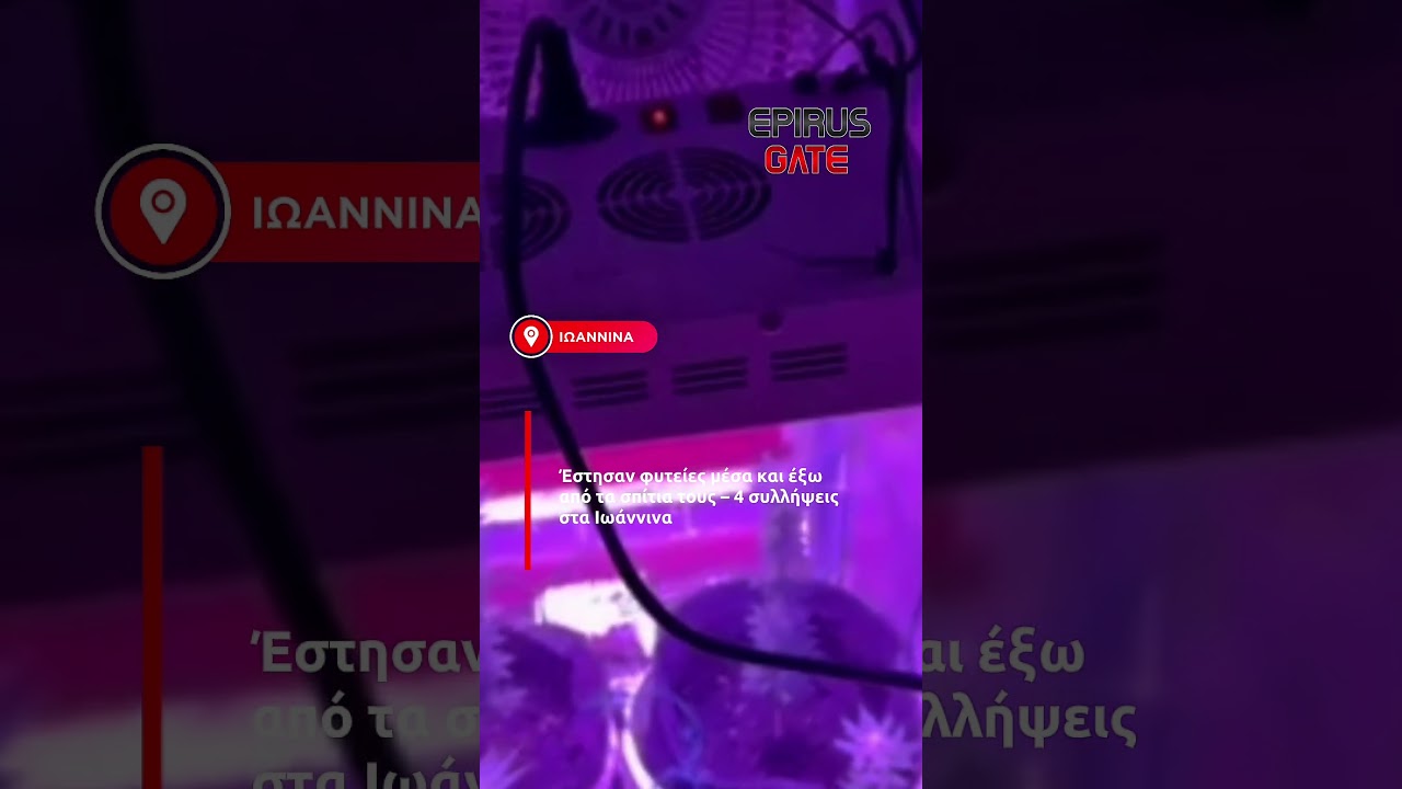 Έστησαν φυτείες μέσα και έξω από τα σπίτια τους – 4 συλλήψεις στα Ιωάννινα