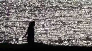 Dress Up In You - Belle and Seb - Fan Vid!