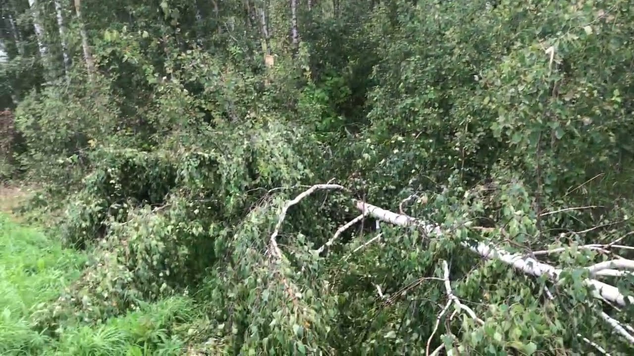 Ураган и 3 суток блекаута 