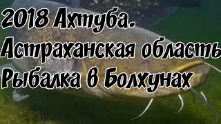 Рыбалка в болхунах 2019 форум
