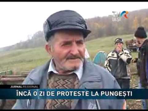 ÎNCĂ O ZI DE PROTESTE LA PUNGEŞTI