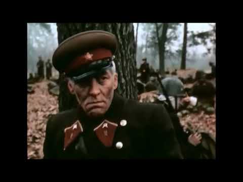 Трейлер