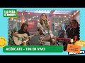 TINI - ACÉRCATE - LA PEÑA DE MORFI