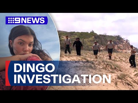 Identity of young backpacker found dead on K'gari revealed | 9 News Australia