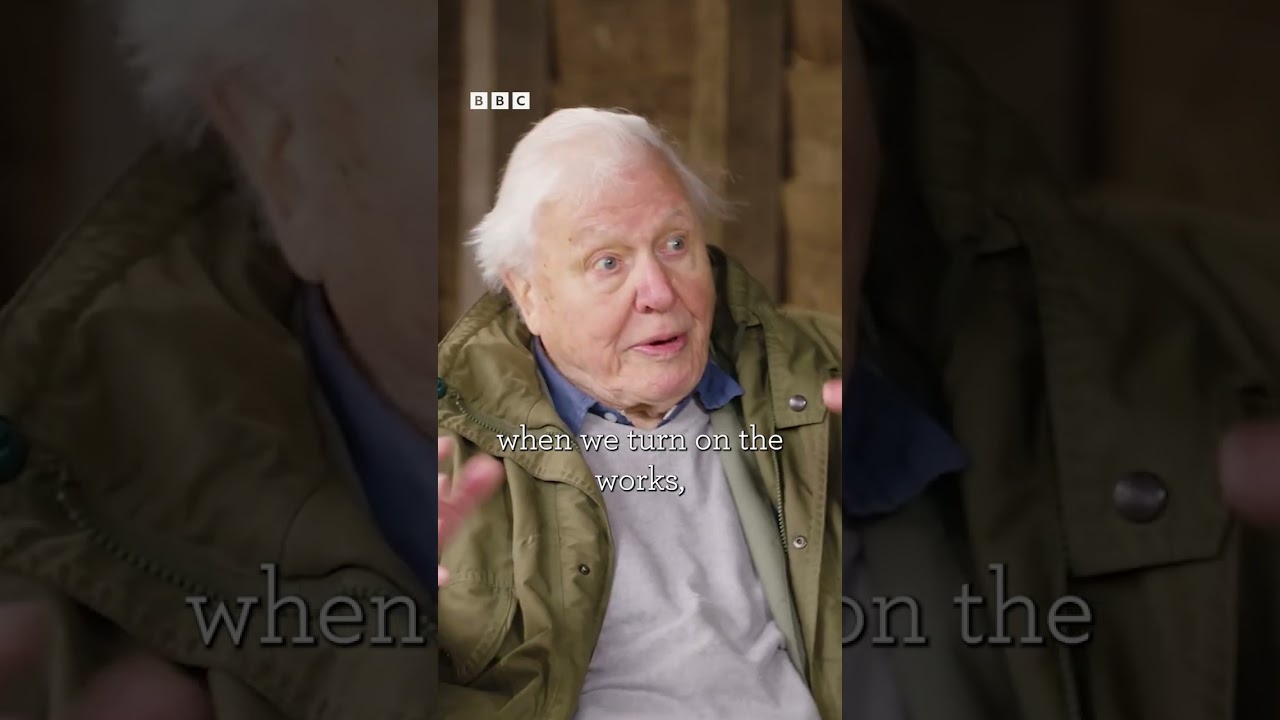 ⭐TONIGHT ON WINTERWATCH⭐