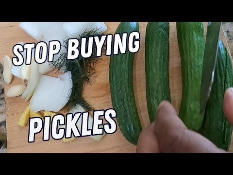 How w to pickle 🥒 guide for beginners!