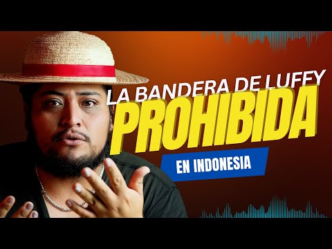 One Piece: BANDERA de la RESISTENCIA para una GENERACIÓN