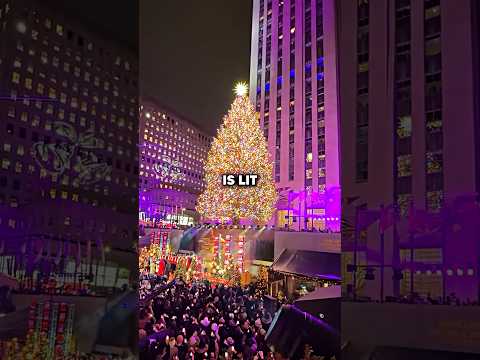 London Vs New York Tree Lighting