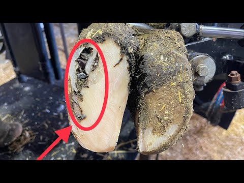 This Whiteline is LITTERED with ROCKS